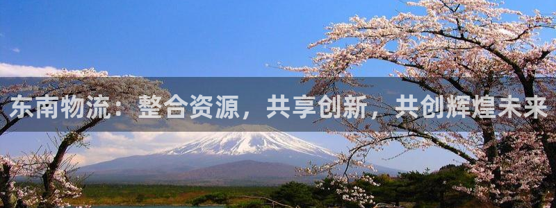 28圈加拿大最新版：东南物流：整合资源，共享创新，共创辉煌未