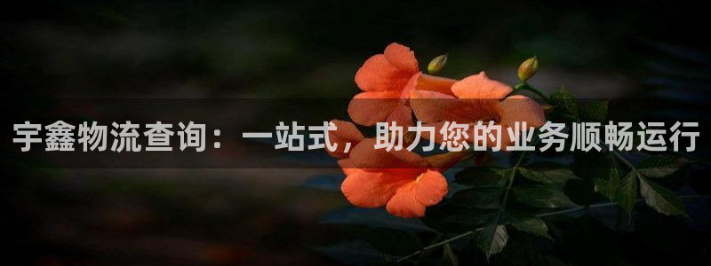 28圈.ccmpc28：宇鑫物流查询