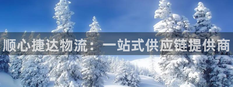 28圈麻将胡了：顺心捷达物流：一站式