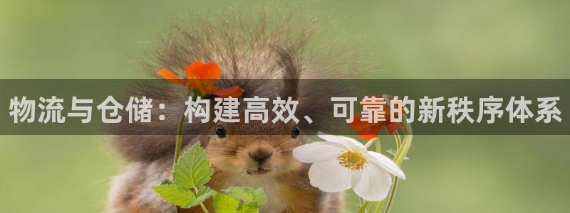 自行车28圈是什么意思：物流与仓储：