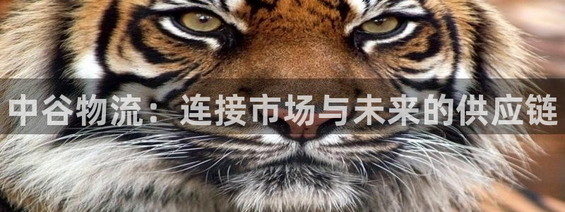 28圈免费充钱：中谷物流：连接市场与