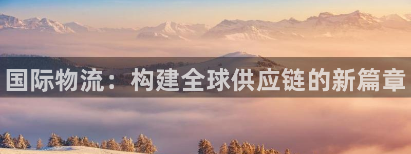 28圈提现不到账：国际物流：构建全球
