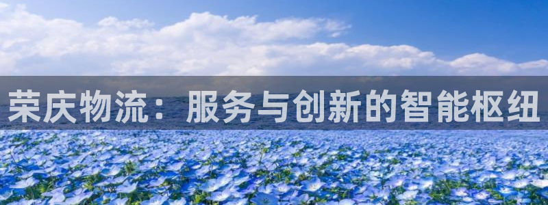 28圈链接是什么：荣庆物流：服务与创