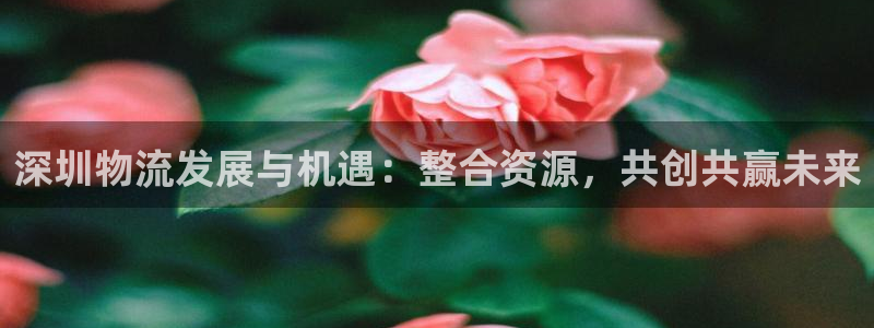 28圈头像：深圳物流发展与机遇：整合