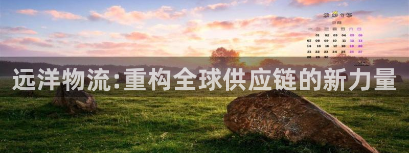 28圈注册号：远洋物流:重构全球供应