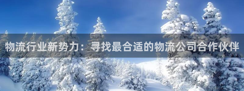 28圈链接：物流行业新势力：寻找最合