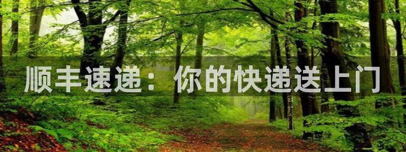 28圈正规吗：顺丰速递：你的快递送上