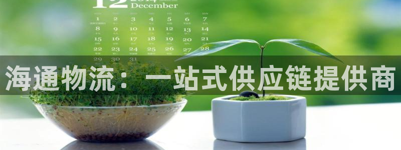 28圈官方官网：海通物流：一站式供应