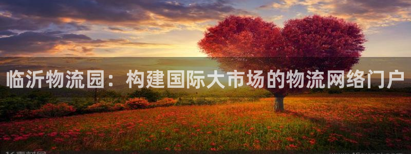28圈.ccmpc29官网版：临沂物