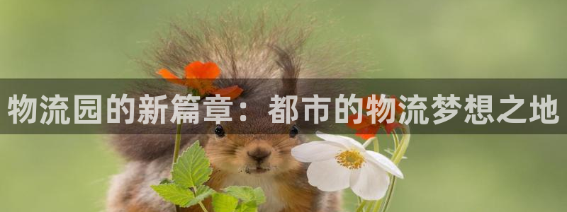 28圈开奖预测