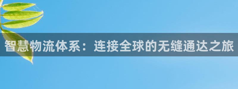 28圈黑款