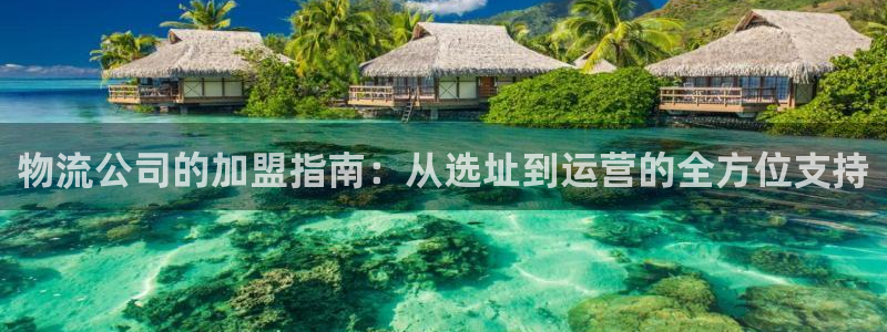 28圈app赢了500万：物流公司的