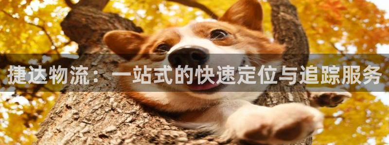 28圈黑平台吗
