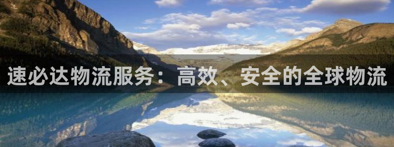 28圈现在狂杀：速必达物流服务：高效