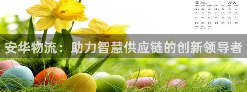28圈ccm官网版：安华物流：助力智