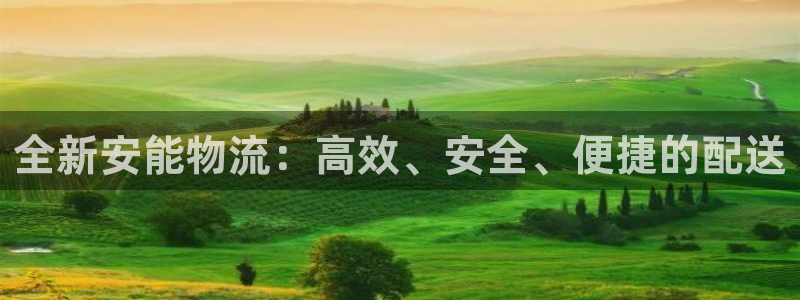 28圈网站平台：全新安能物流：高效、
