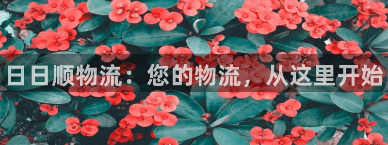 28圈pg如何退钱：日日顺物流：您的