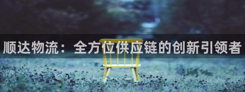 28圈是什么软件：顺达物流：全方位供
