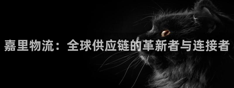 28圈是干嘛的