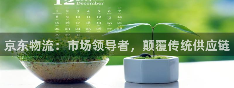 28圈官方网站是多少：京东物流：市场