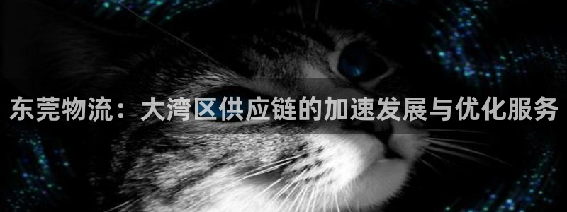 28圈充值不处理会怎么样：东莞物流：