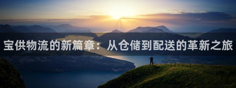 28圈的平台：宝供物流的新篇章：从仓