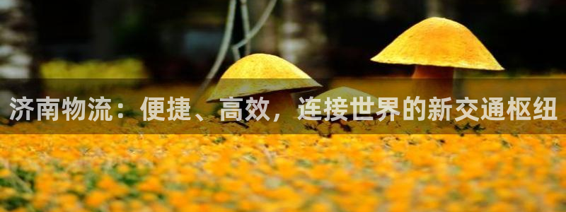 28圈注册网站链接：济南物流：便捷、