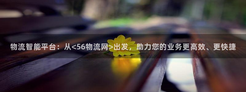 28圈网赌有什么风险：物流智能平台：