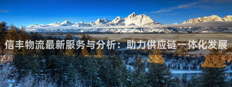 28圈模拟器在线使用：信丰物流最新服