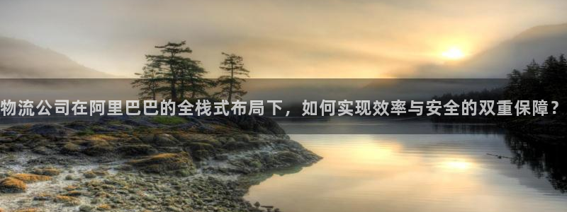 28圈官网网站：物流公司在阿里巴巴的