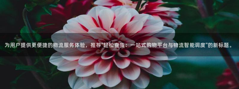28圈注册登录链接：为用户提供更便捷