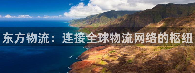 28圈.ccmpc正版：东方物流：连