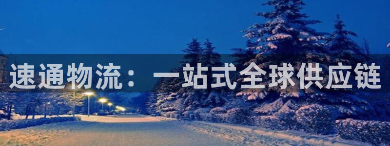 28圈防失联网址：速通物流：一站式全球供应链