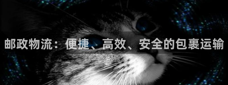 28圈加拿大pc预测