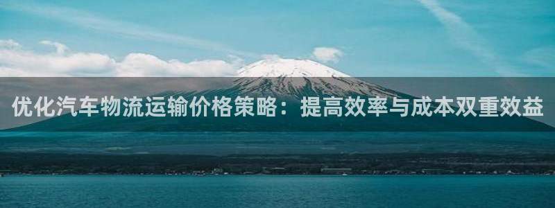 28圈充值不到账：优化汽车物流运输价格策略：提高效率与成本双