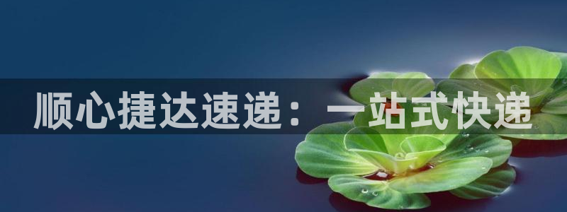 28圈充值不到账怎么回事