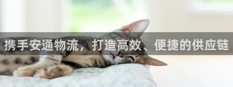 28圈圈