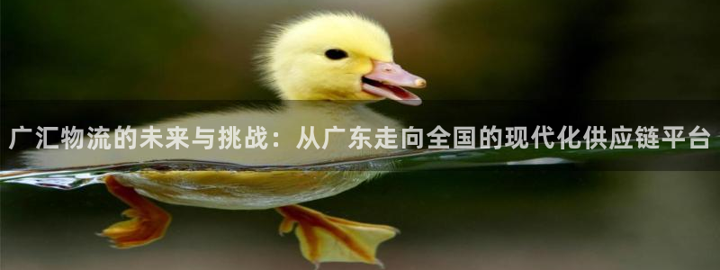 28圈娱乐官网网页入口