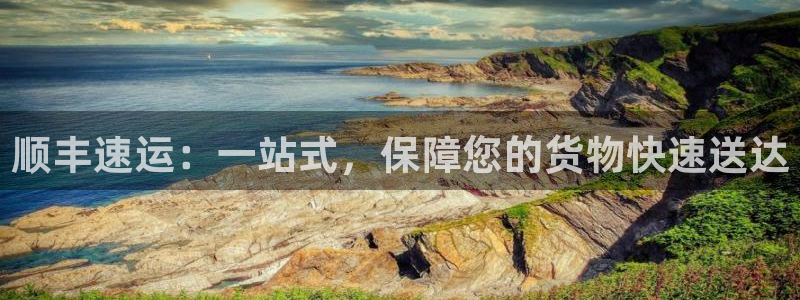 28圈.ccm：顺丰速运：一站式，保