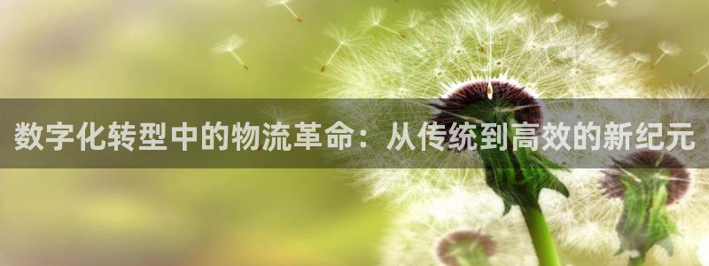 28圈麻将胡了爆分视频：数字化转型中