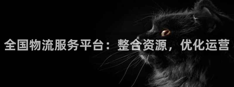 28圈注册登录链接流程：全国物流服务平台：整合资源，优化运营